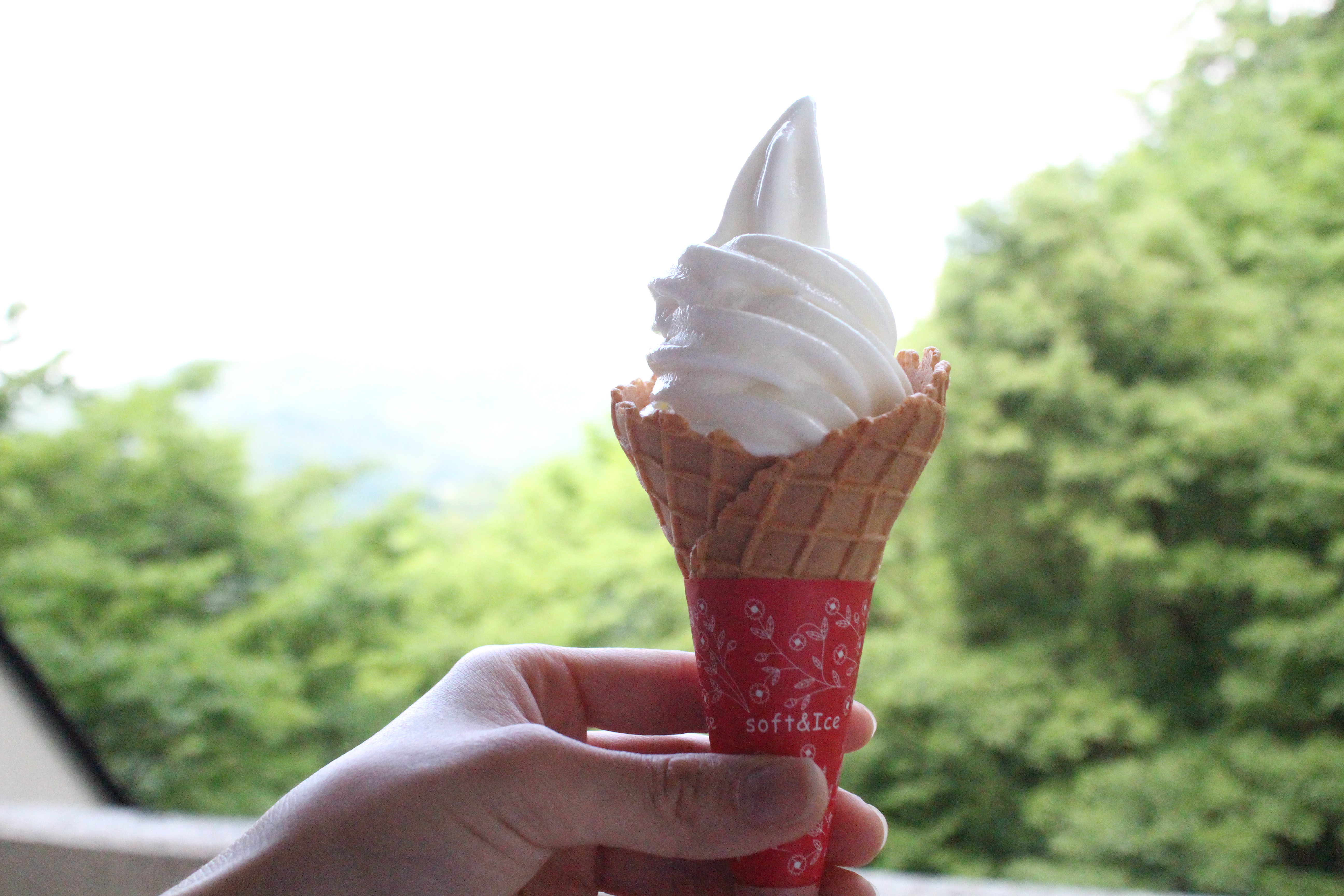 ソフトクリームはじめました(^^)/